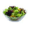 SONOMA SALAD BOWL 10" - OCEAN # P1825